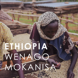 Ethiopia Wenago Mokanisa (200g)