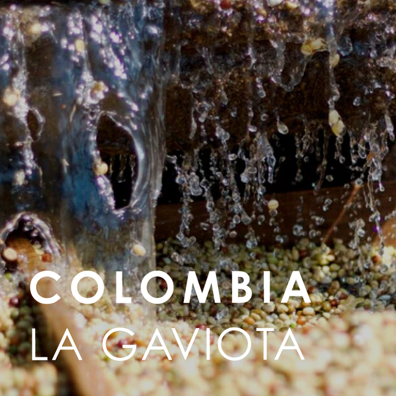 Colombia La Gaviota (200g)