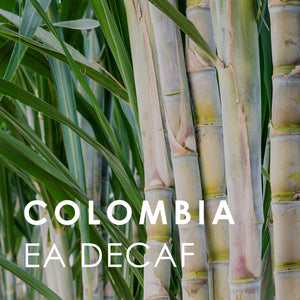 Colombia EA Decaf