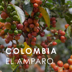 Colombia El Amparo