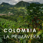 Colombia La Primavera (150g)