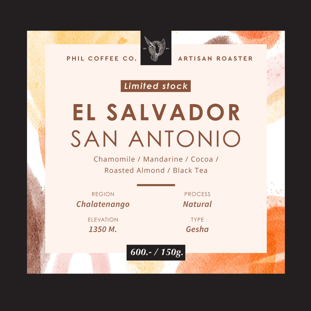 El Salvador San Antonio - Limited Gesha (150g)