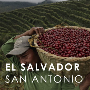 El Salvador San Antonio - Limited Gesha (150g)