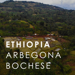 Ethiopia Arbegona Bochese (200g)