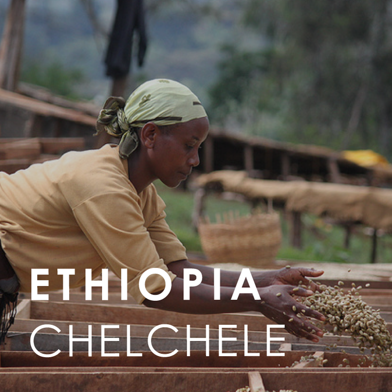 Ethiopia Chelchele (200g) for Espresso