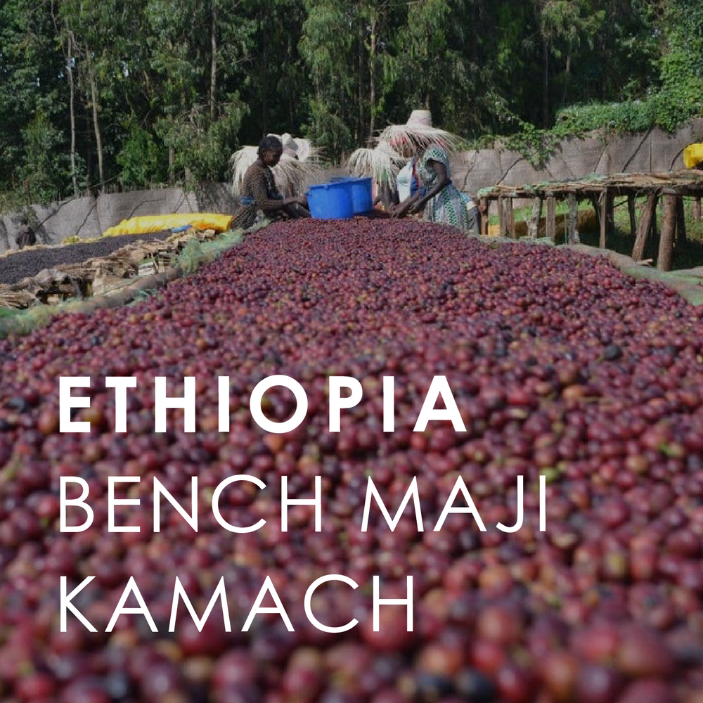 Ethiopia Bench Maji Kamach (200g)