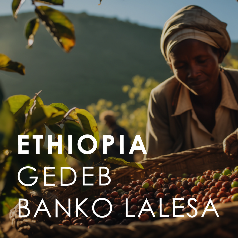 Ethiopia Gedeb Banko Lalesa (200g)