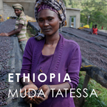 Ethiopia Muda Tetessa (200g)