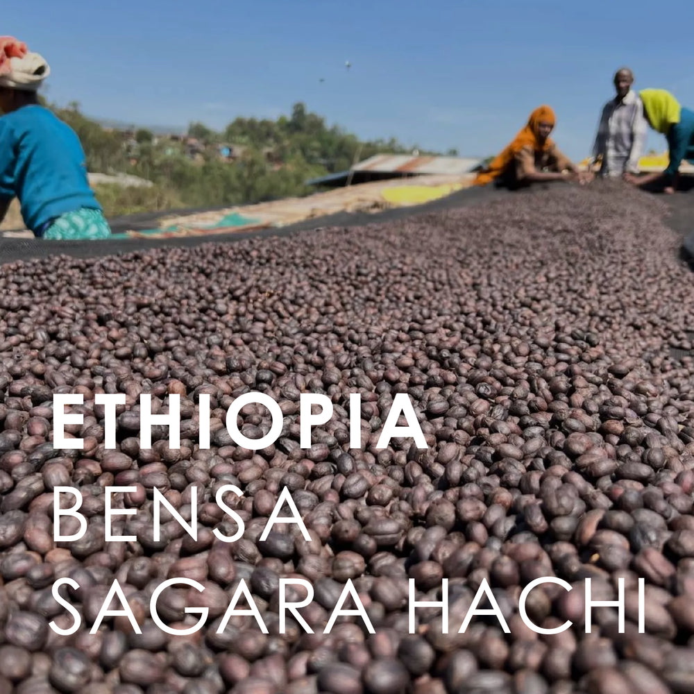 Ethiopia Bensa Sagara Hachi (200g)