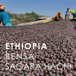 Ethiopia Bensa Sagara Hachi (200g)