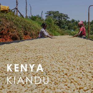 Kenya Kiandu (200g)
