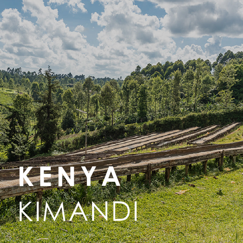 Kenya Kimandi (200g)