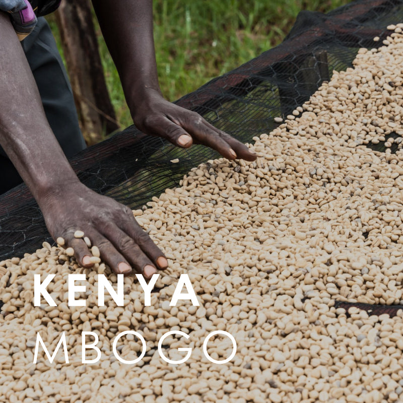 Kenya Mbogo (200g)