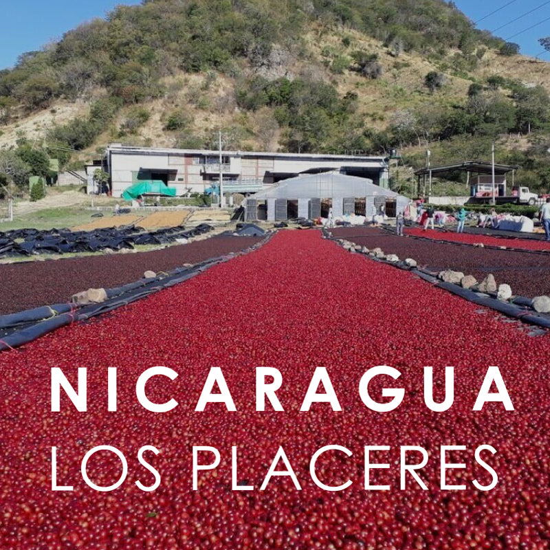 Nicaragua Los Placeres (200g)