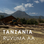 Tanzania Ruvuma AA (200g)