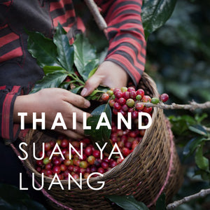 Thailand Suan Ya Luang (1kg)